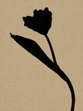 Wild Stem 2