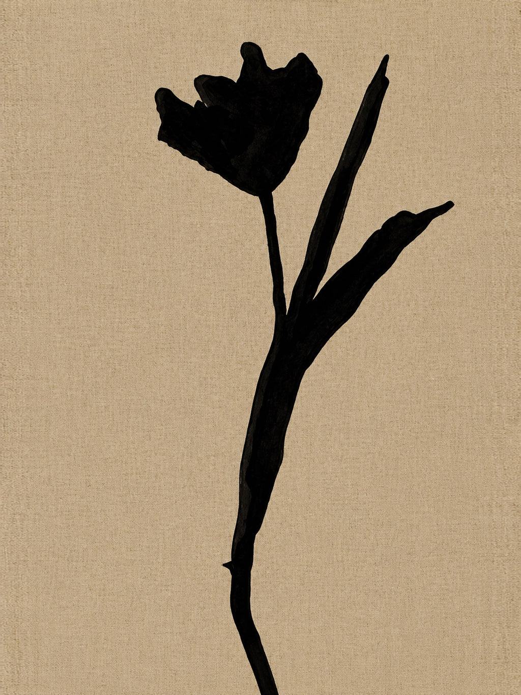 Wild Stem 3 botanical illustration, digital download wall art
