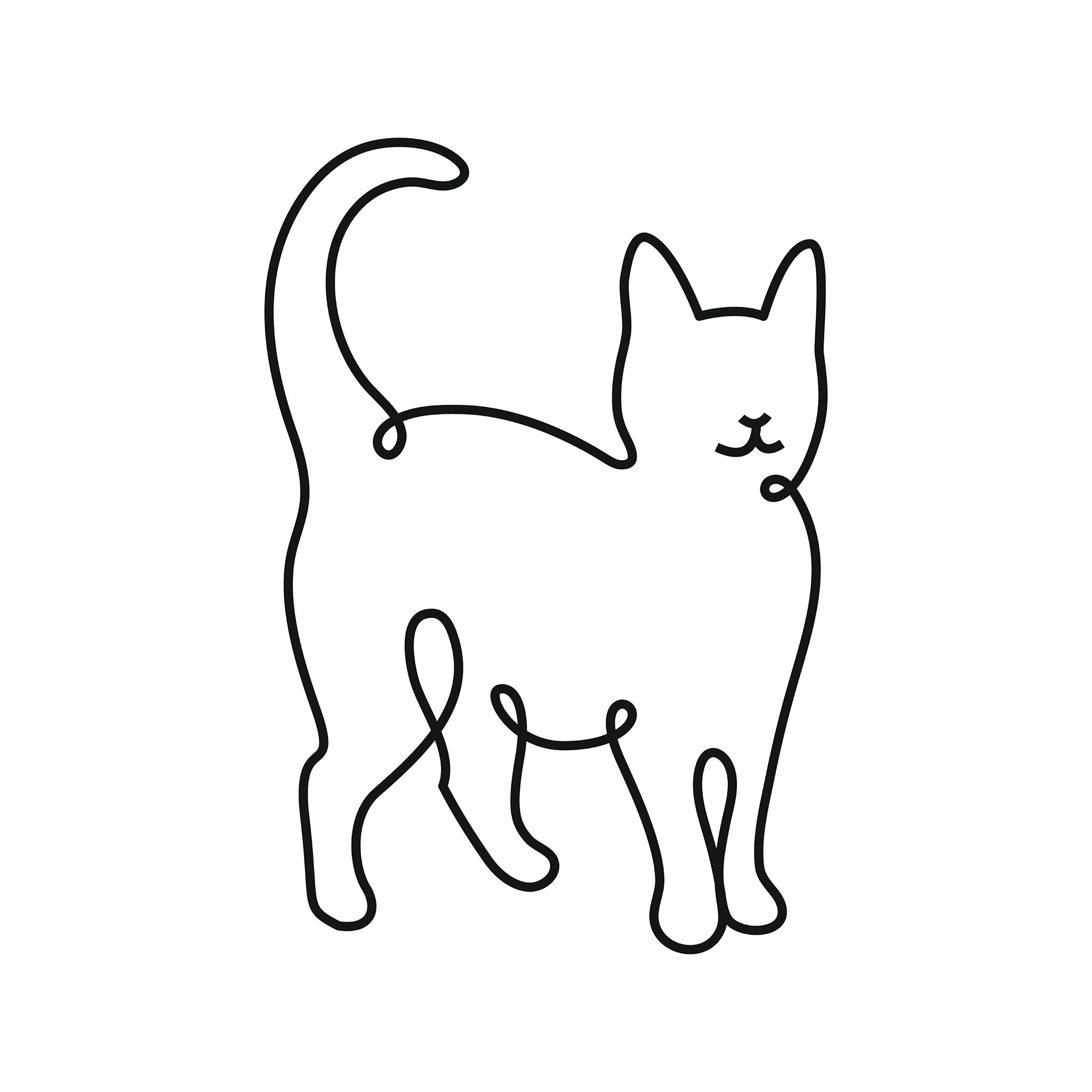 Cat illustration, digital download wall art