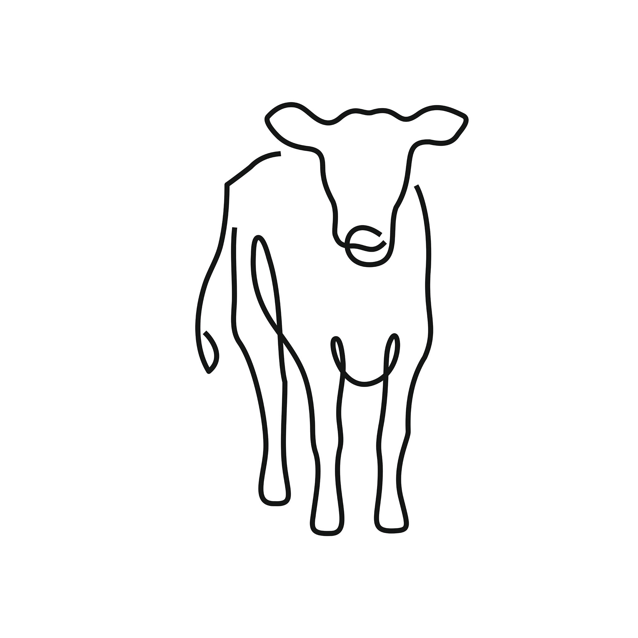 Cow illustration, digital download wall art