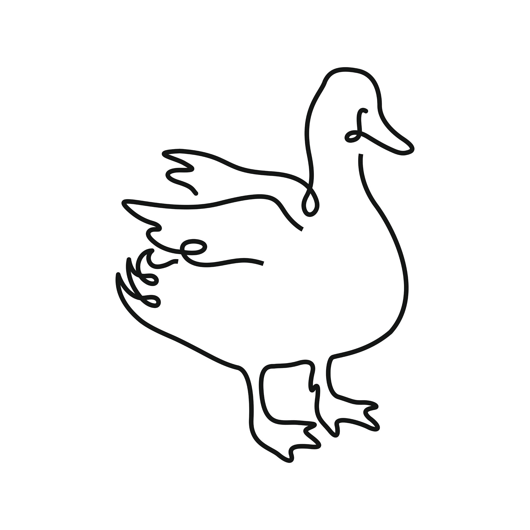 Duck illustration, digital download wall art