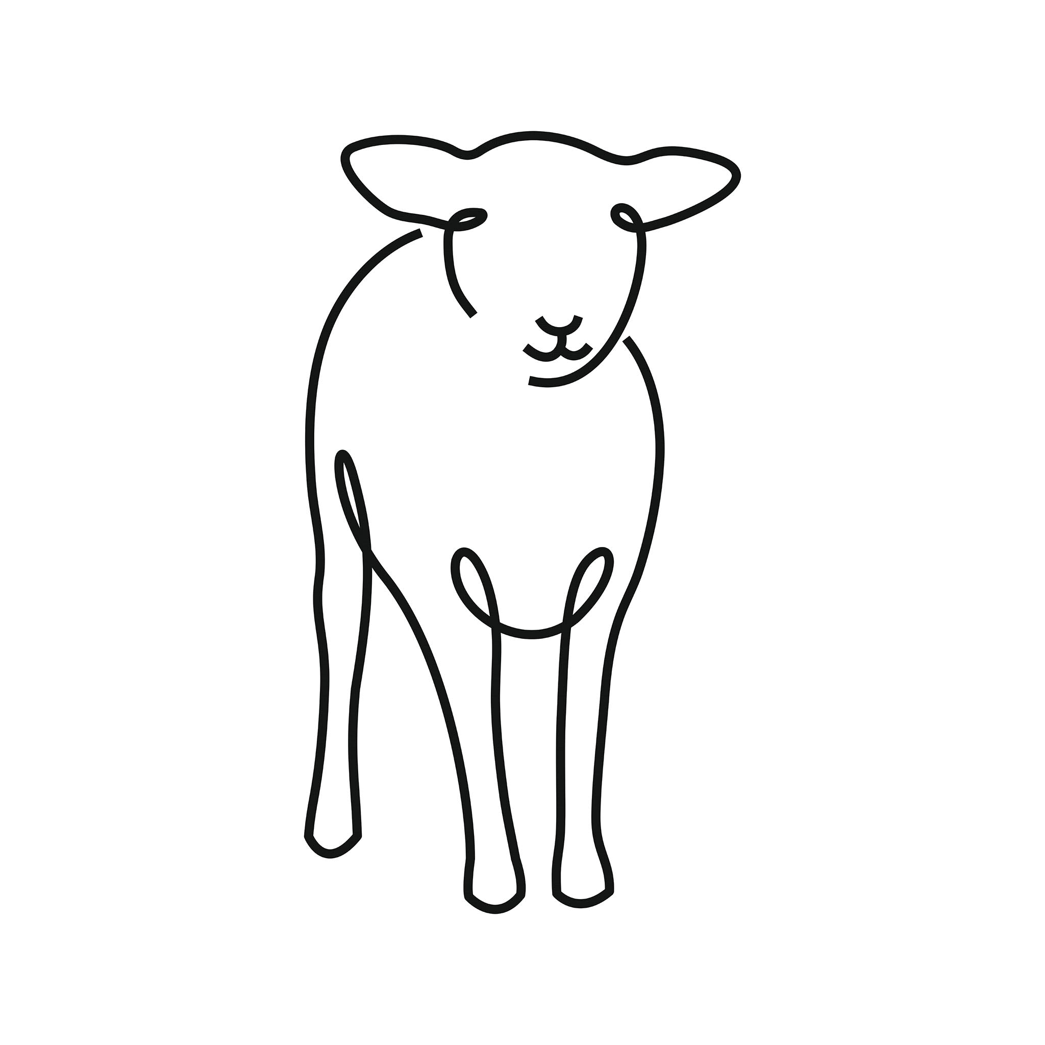 Lamb illustration, digital download wall art
