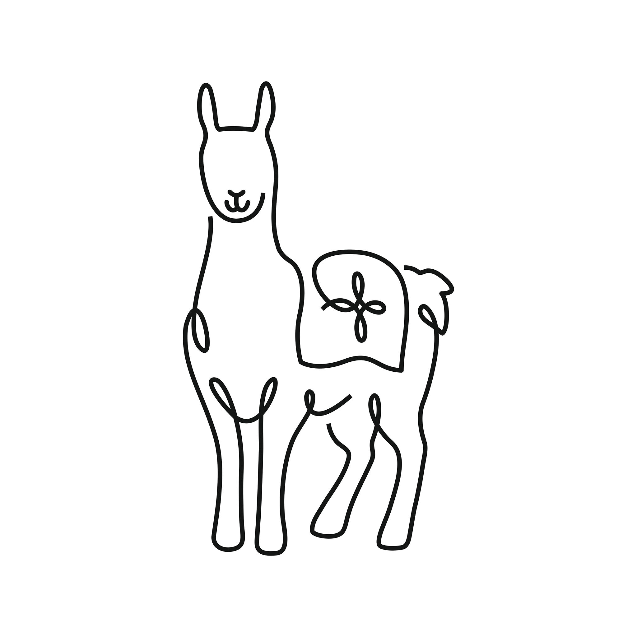 Llama illustration, digital download wall art