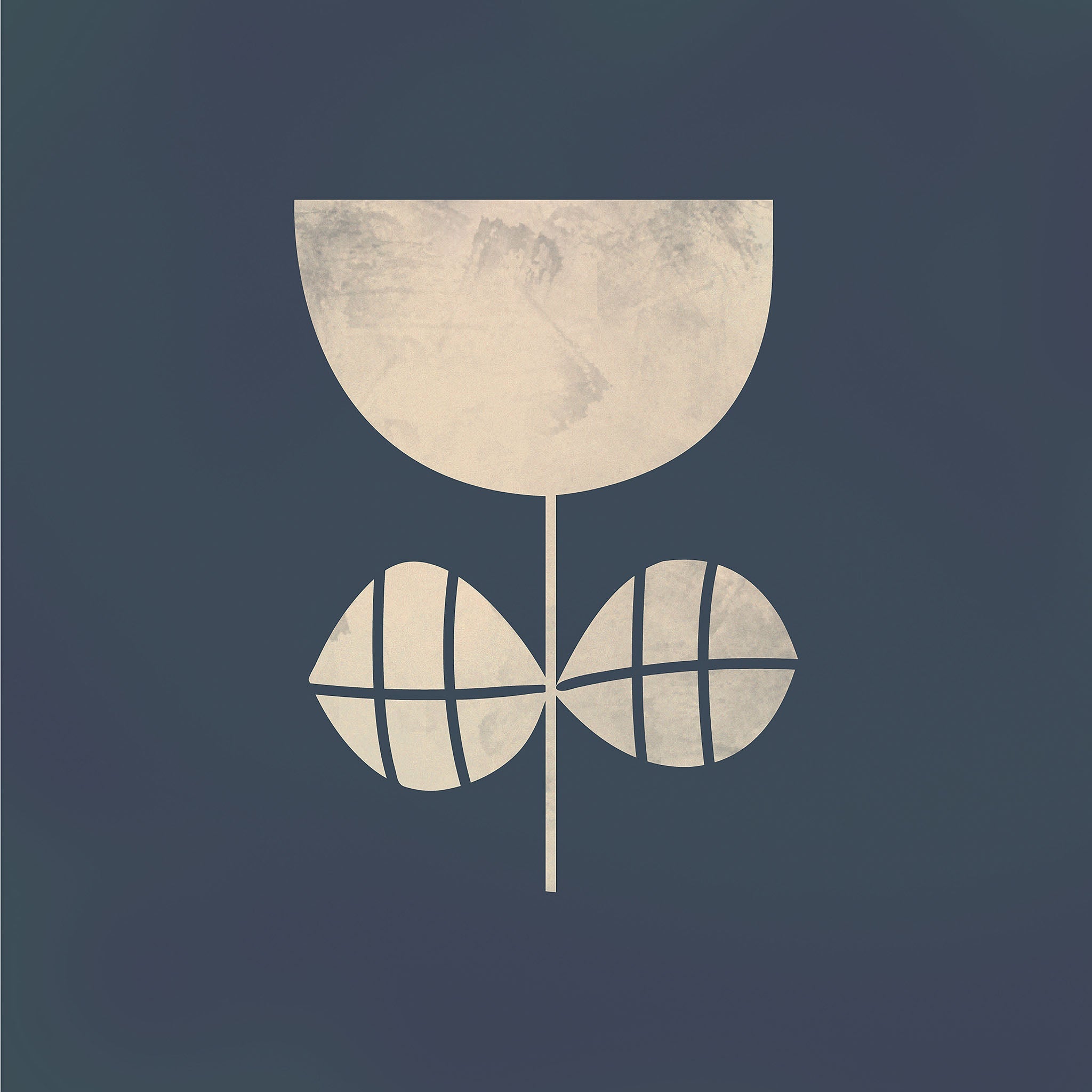 Midnight Stem 2 illustration, digital download wall art