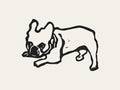 Phoebe the Frenchie! illustration, digital download wall art