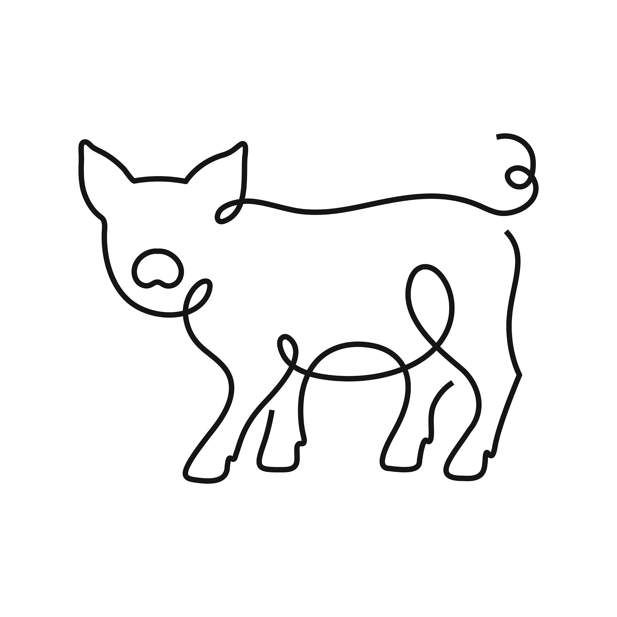 Pig illustration, digital download wall art